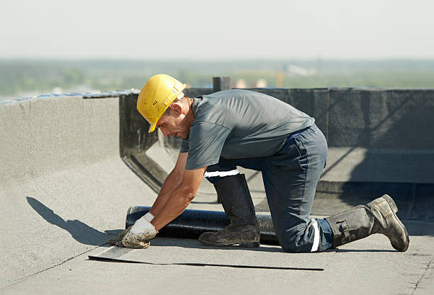 Best Cellulose Insulation in Ladera Heights, CA