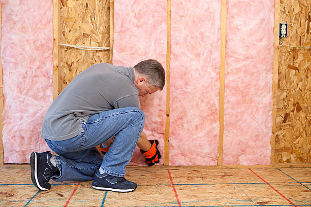 Best Commercial Insulation in Ladera Heights, CA