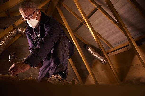 Best Blown-in Insulation in Ladera Heights, CA