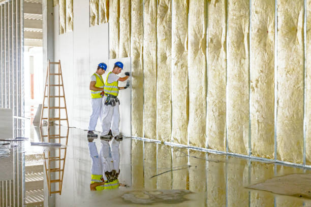Types of Insulation We Offer in Ladera Heights, CA